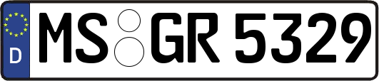 MS-GR5329
