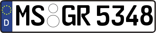 MS-GR5348