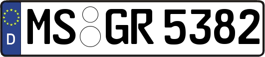 MS-GR5382