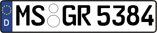MS-GR5384