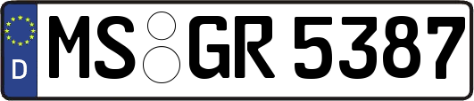 MS-GR5387