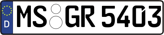 MS-GR5403