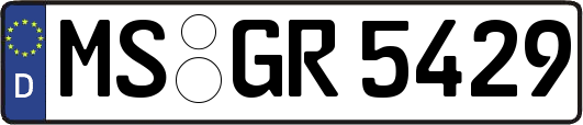 MS-GR5429