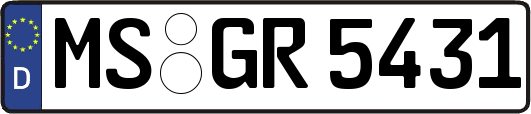 MS-GR5431
