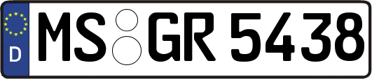 MS-GR5438