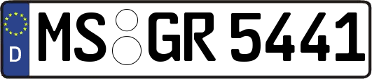 MS-GR5441