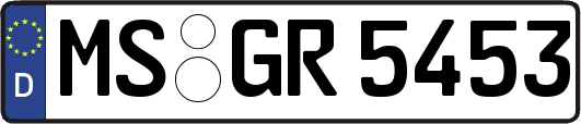 MS-GR5453