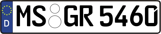 MS-GR5460