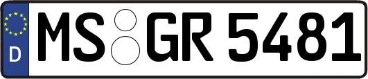 MS-GR5481