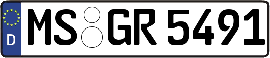 MS-GR5491