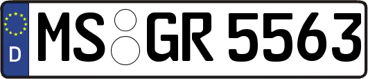 MS-GR5563