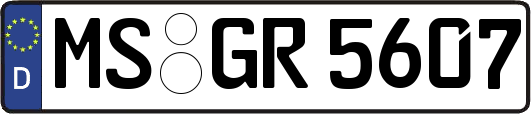 MS-GR5607