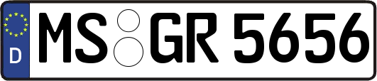 MS-GR5656