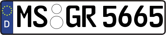 MS-GR5665