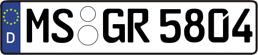 MS-GR5804