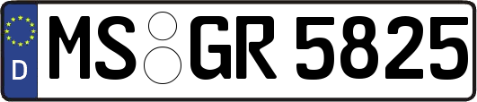 MS-GR5825