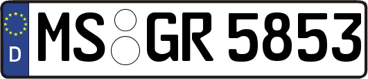 MS-GR5853