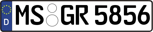 MS-GR5856