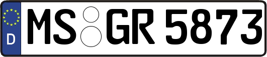 MS-GR5873