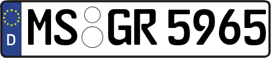MS-GR5965