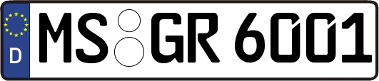 MS-GR6001