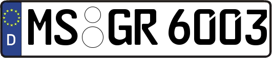 MS-GR6003