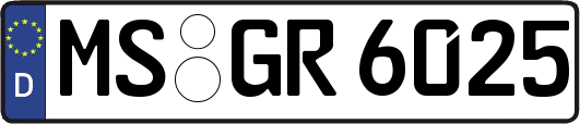 MS-GR6025