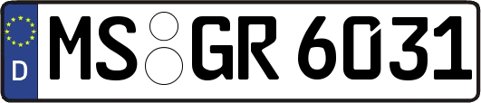 MS-GR6031