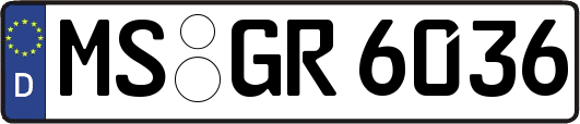 MS-GR6036