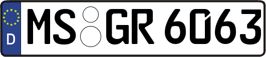 MS-GR6063