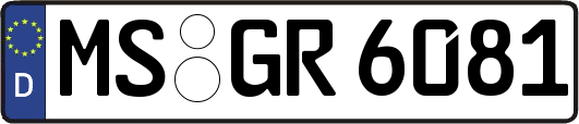 MS-GR6081