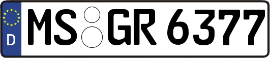 MS-GR6377