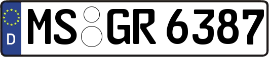MS-GR6387