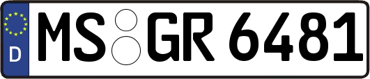 MS-GR6481