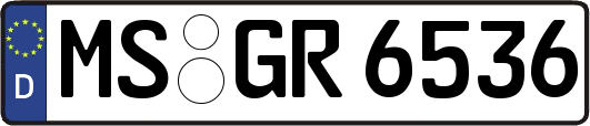 MS-GR6536
