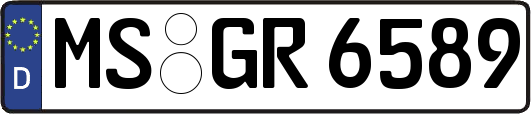 MS-GR6589