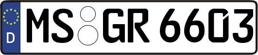 MS-GR6603