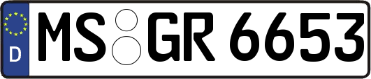 MS-GR6653