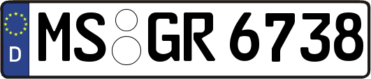 MS-GR6738