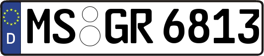 MS-GR6813