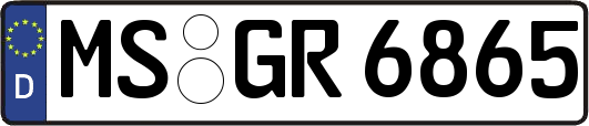 MS-GR6865