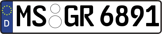 MS-GR6891