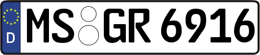 MS-GR6916