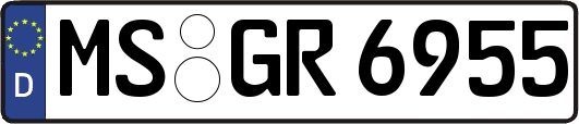 MS-GR6955