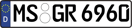 MS-GR6960