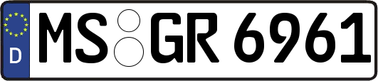 MS-GR6961
