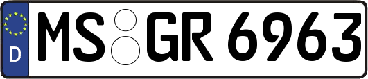 MS-GR6963