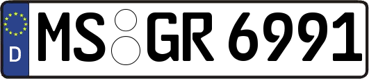 MS-GR6991