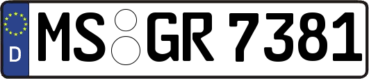 MS-GR7381