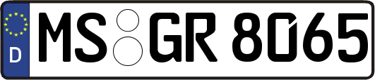 MS-GR8065